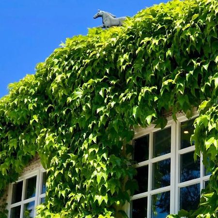 שווארמשטדט Apartment Gaestehaus Schloss Bothmer מראה חיצוני תמונה
