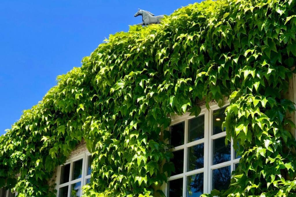 שווארמשטדט Apartment Gaestehaus Schloss Bothmer מראה חיצוני תמונה